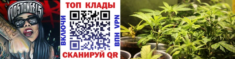 Где найти наркотики Миллерово Альфа ПВП  Амфетамин  ГАШ  Конопля  Мефедрон 