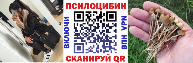блэк спрут зеркало  закладки  Миллерово  Псилоцибиновые грибы Cubensis 
