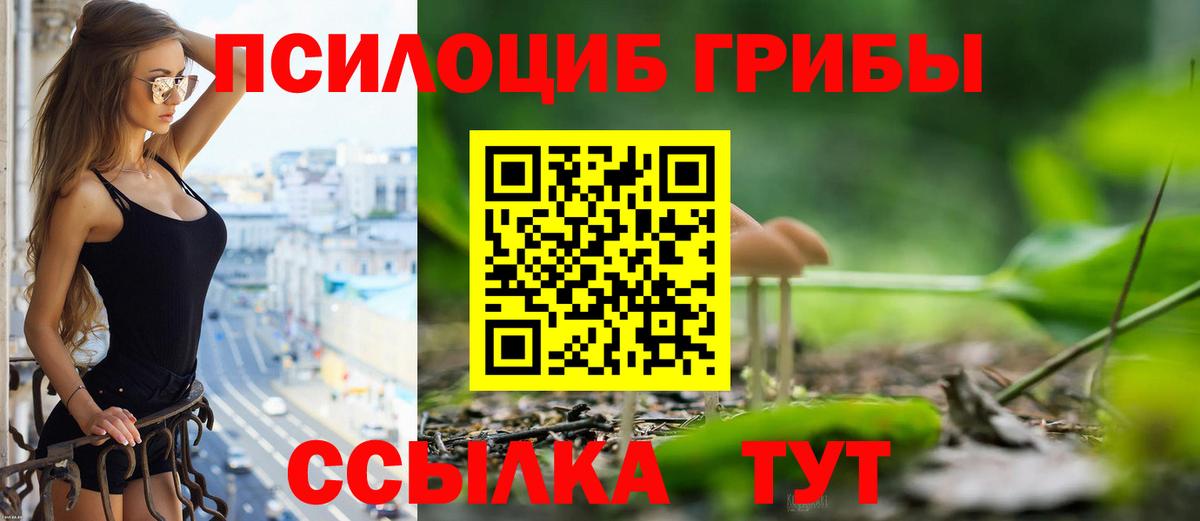 Миллерово  Галлюциногенные грибы прущие грибы  Галлюциногенные грибы MAGIC MUSHROOMS  Вход с VPN 